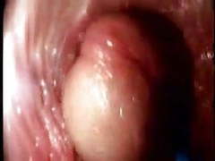 7X3.net presents: Video from the inside of a vagina... very interesting
