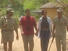 7X3.net presents: Kruger park