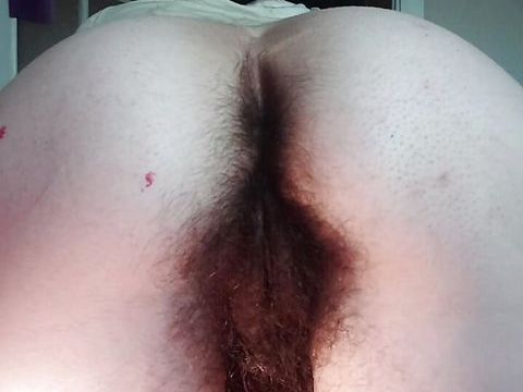 7X3.net presents: Explore my hairy body from front and back